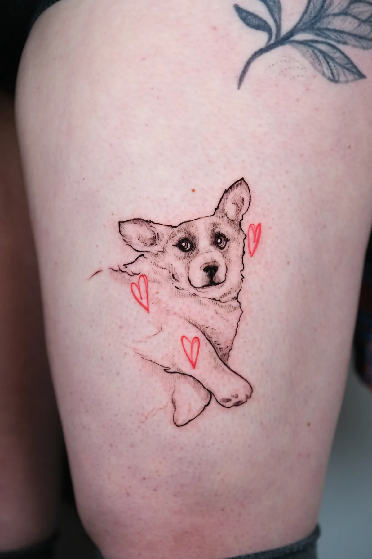 Fine-line style tattoo, Belgrade